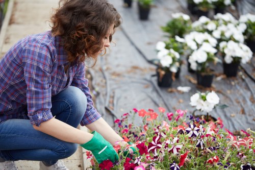 Gardener assessing a small terraced garden in Catford
