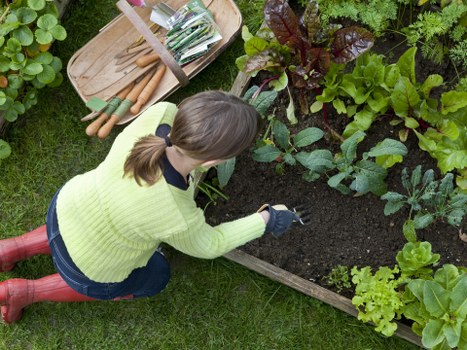 Inspector reviewing garden work records and photo evidence