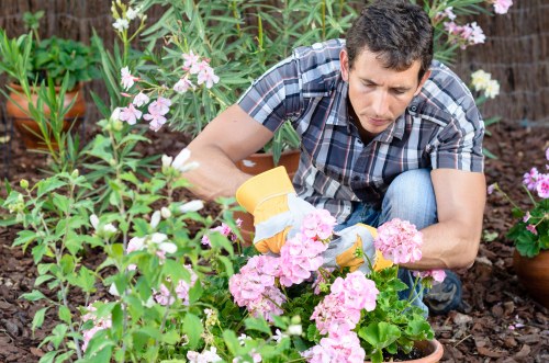 Staff member preparing accessible format materials for a Catford garden maintenance client