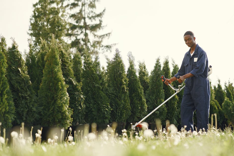 A person wearing a dark long-sleeved top and a black cap is engaged in hedge trimming in a lush garden. They are holding a pair of long-handled pruning shears, with the blades open as they cut through